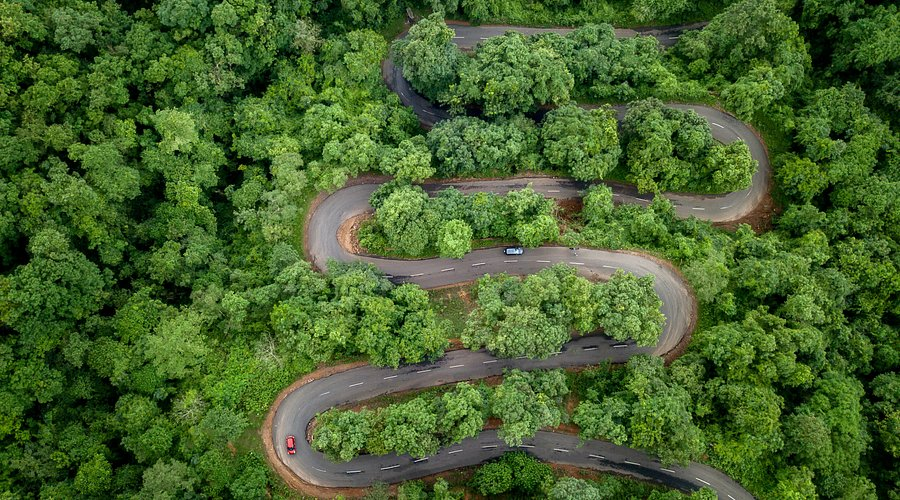 Boat Trip with Maredumilli Stay